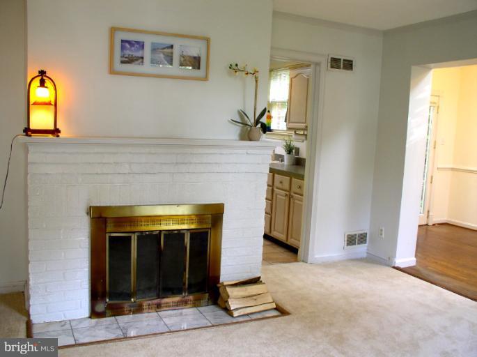 3002 Collins Avenue Silver Spring, MD 20902 - Photo 1 of 19 Wood burning fireplace