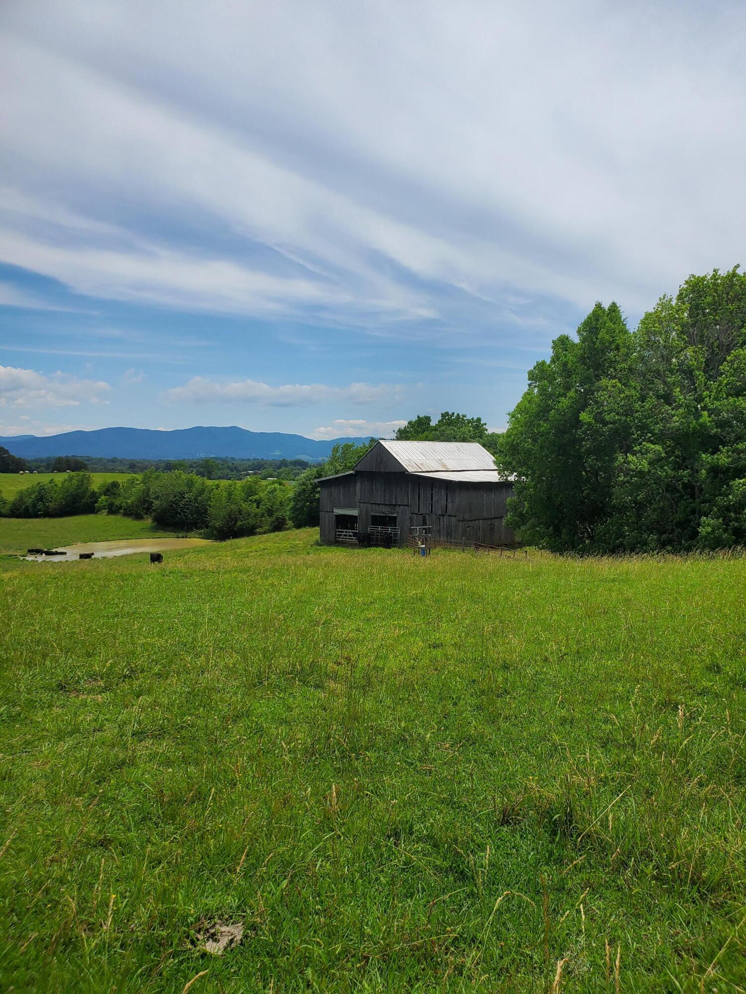 575 Haney Hill Road Greeneville, TN 37743 - Photo 4 of 15 20220604_142414