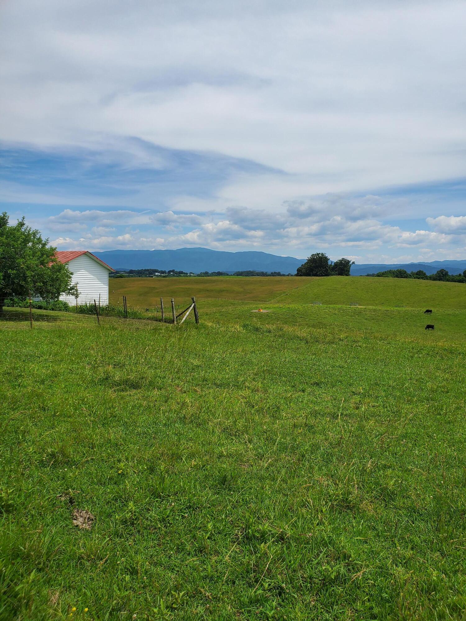575 Haney Hill Road Greeneville, TN 37743 - Photo 6 of 15 20220604_142438