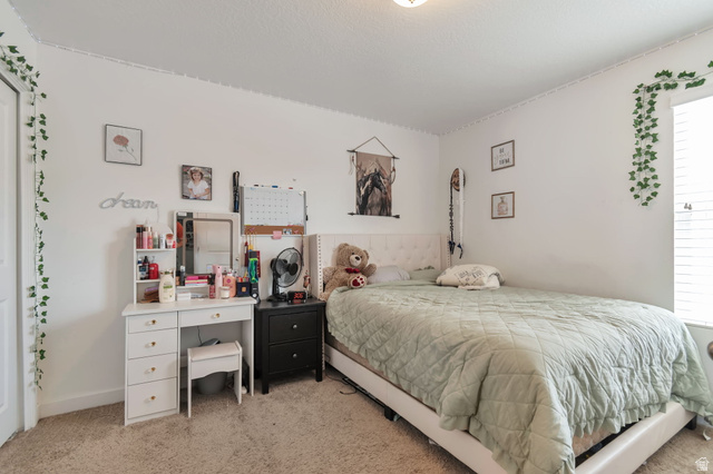 253 Quartz Road Tooele, UT 84074 - Photo 20 of 33