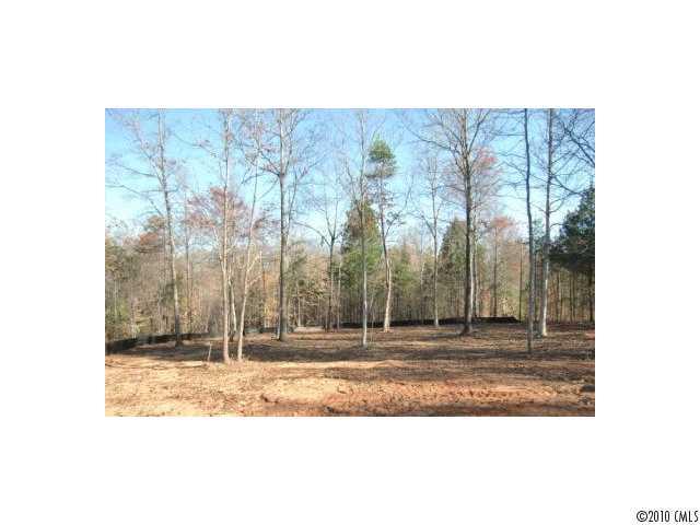 4011 Orion Road York, SC 29745 - Photo 3 of 5 Gallery Image 3