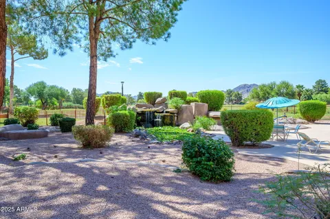 a garden view with a sitting space