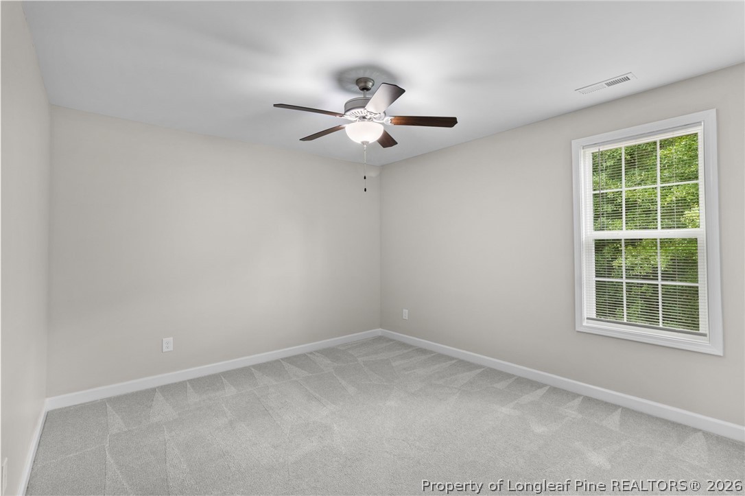 388 Dundee Farm Road Raeford, NC 28376 - Photo 33 of 41