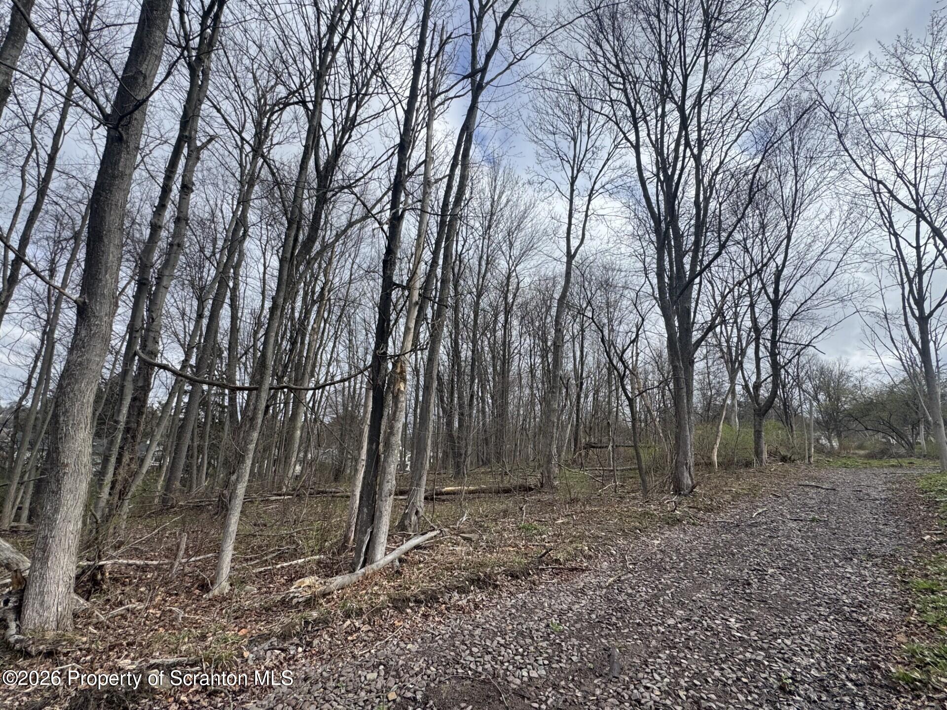 Fern Street Clarks Summit, PA 18411 - Photo 1 of 3 Main Photo