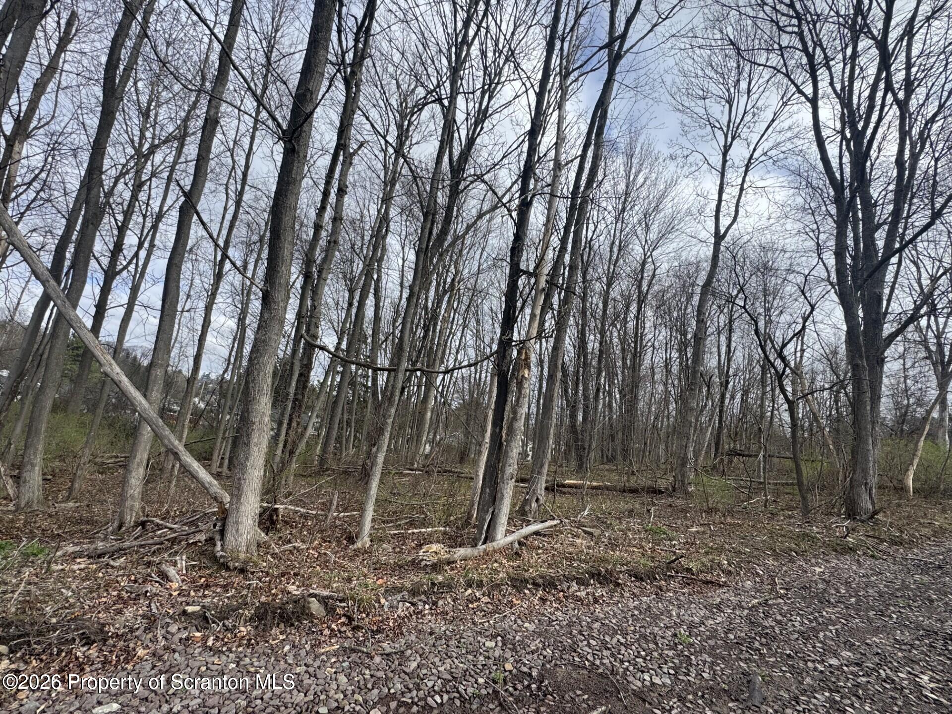 Fern Street Clarks Summit, PA 18411 - Photo 3 of 3 Land