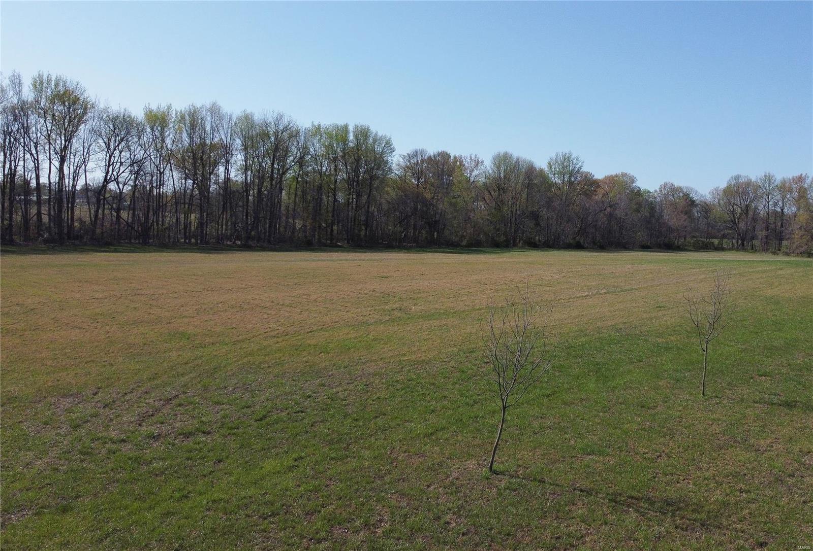 1 Crites Lane Dexter, MO 63841 - Photo 2 of 3