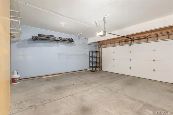 a view of a yard with plants and a trees