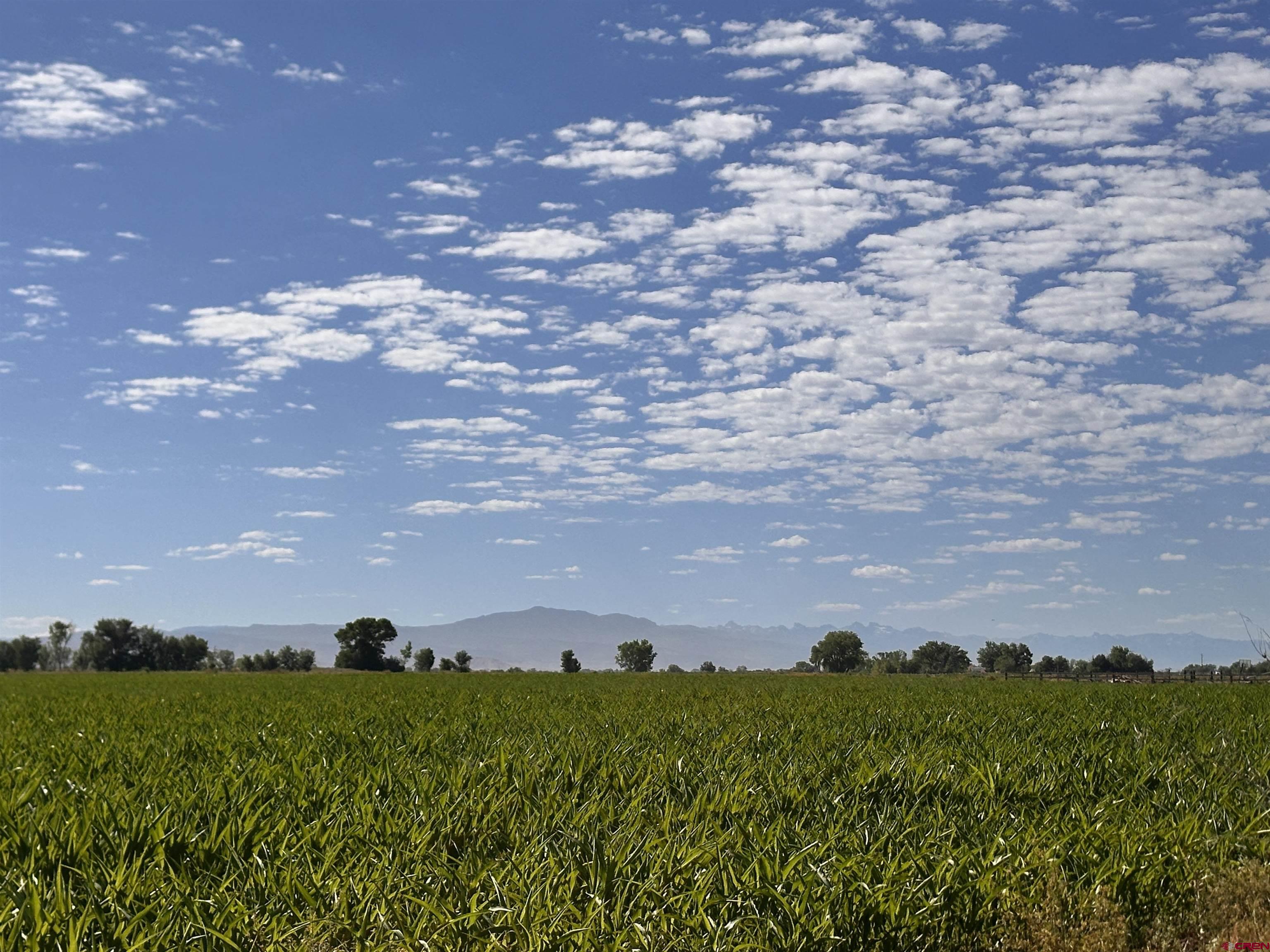 Tbd 5675 Road Delta, CO 81416 - Photo 3 of 16 a city view and mountain