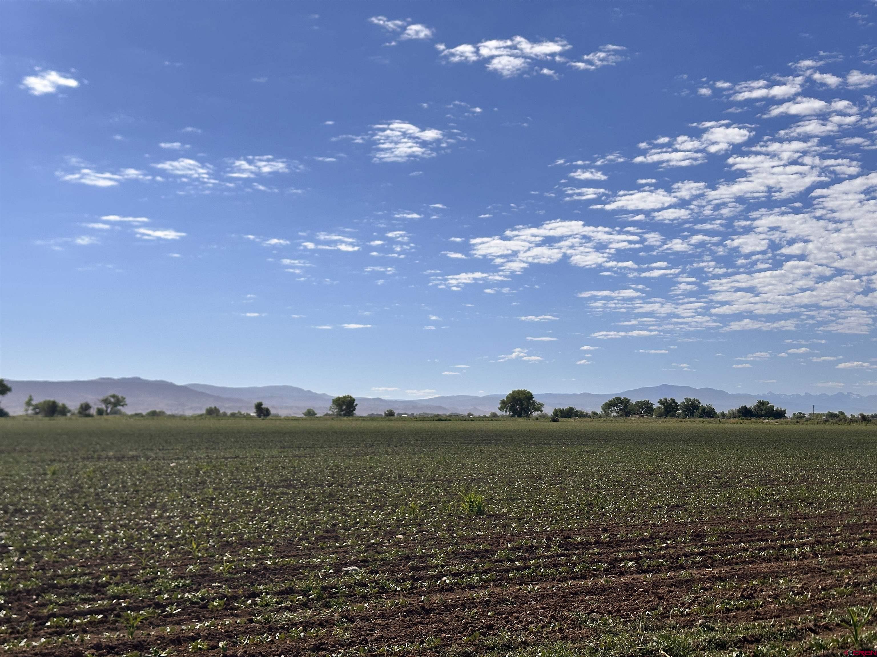 Tbd 5675 Road Delta, CO 81416 - Photo 5 of 16 a view of lake and mountain