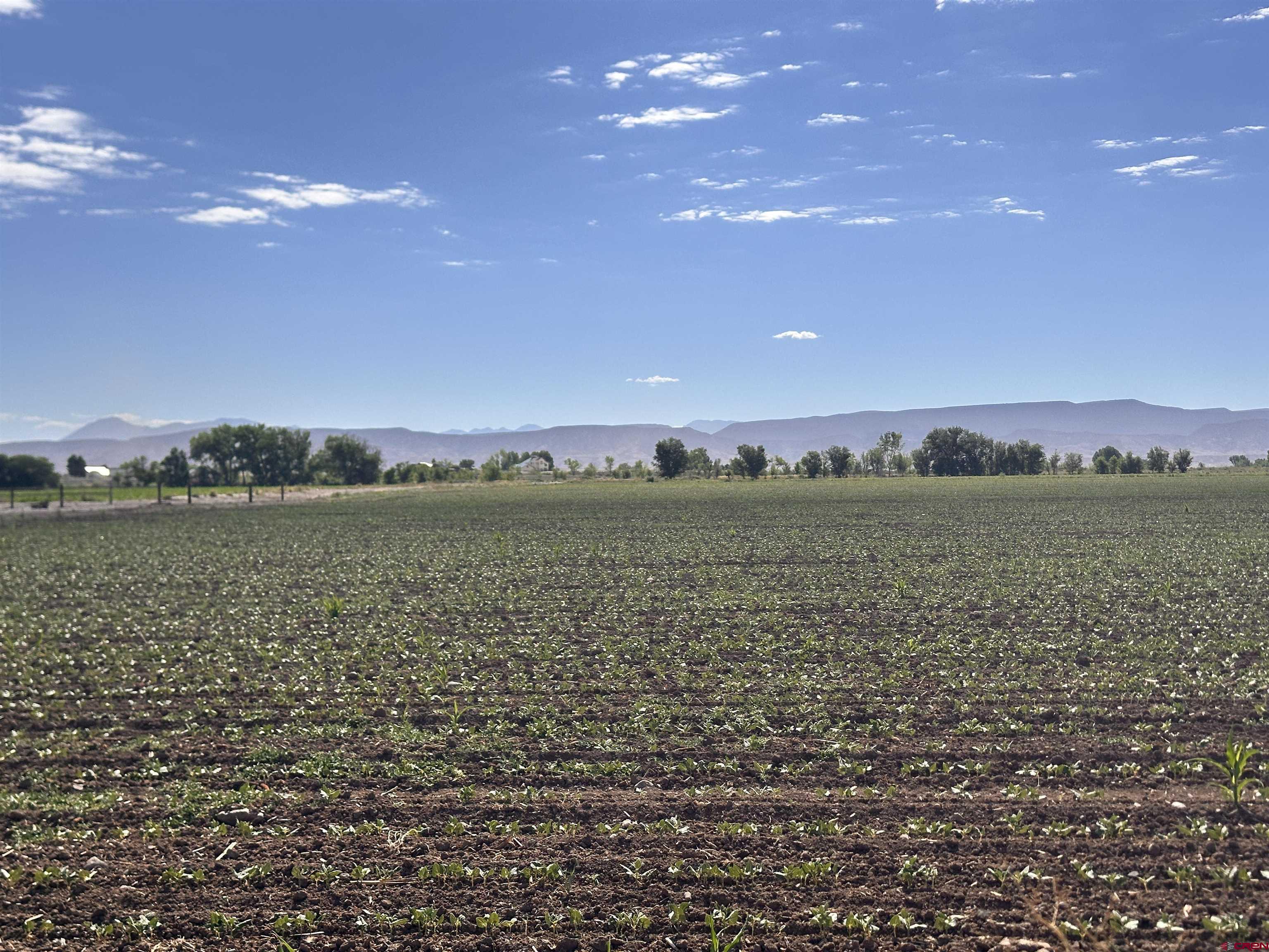Tbd 5675 Road Delta, CO 81416 - Photo 6 of 16 a view of a lake view