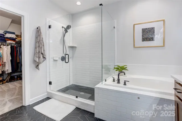 a bathroom with a tub a potted plant on the counter and shower