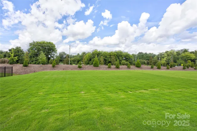 a view of grassy field with trees