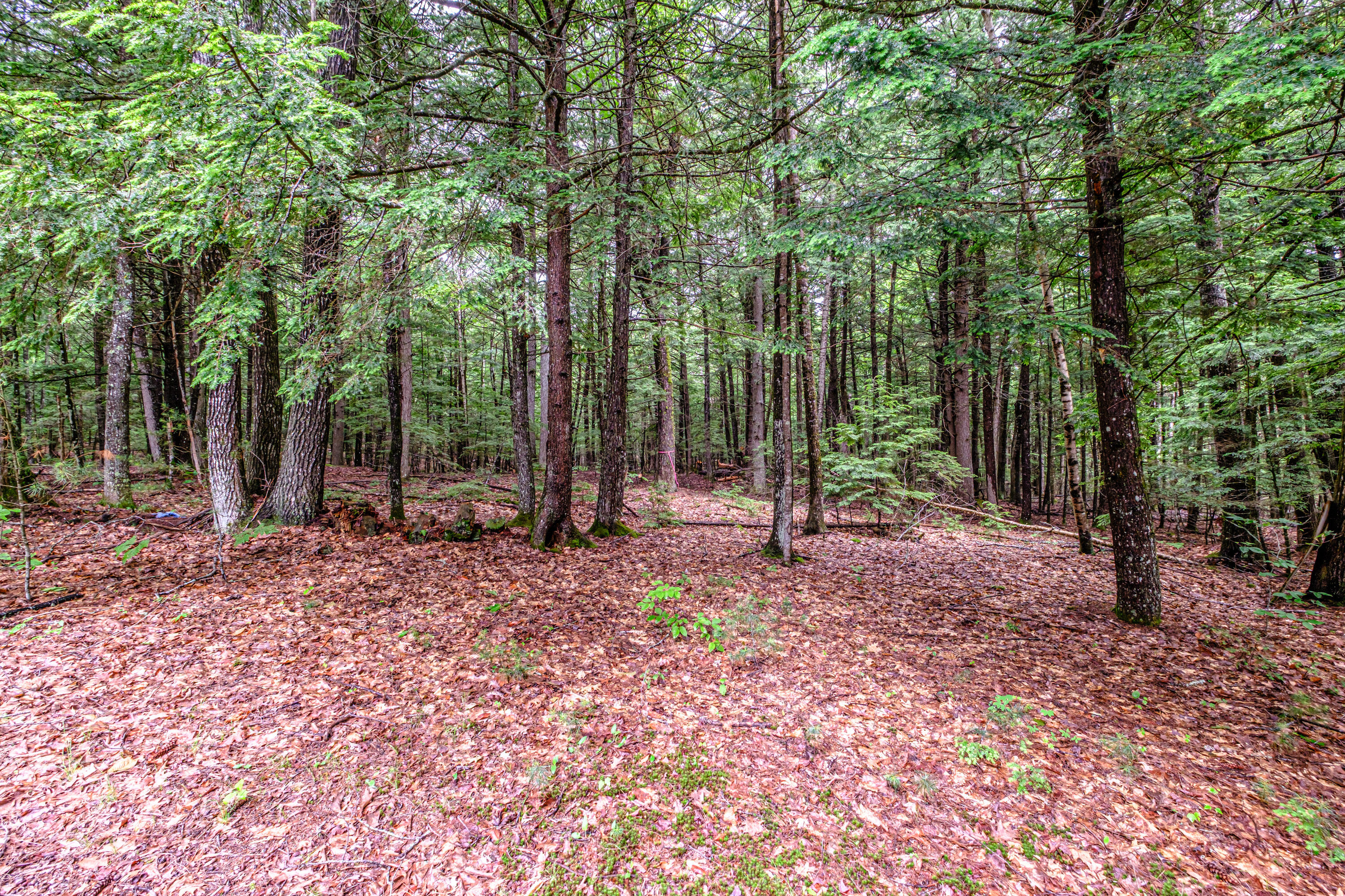 113 Colonial Circle Harrison, ME 04040 - Photo 47 of 52 20260623gp-60059