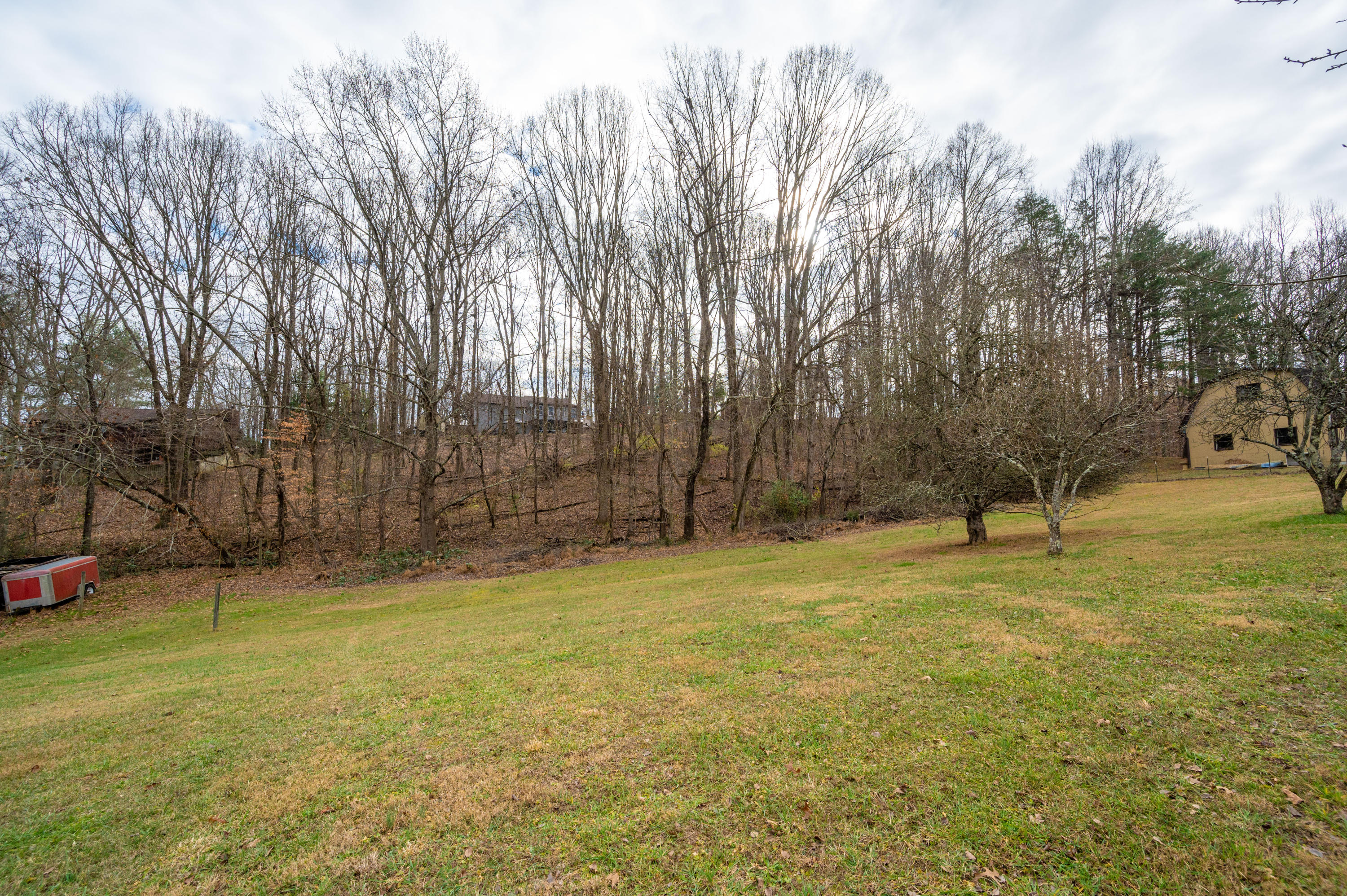 1073 Hidden Valley Road Kingsport, TN 37663 - Photo 36 of 42 Back yard