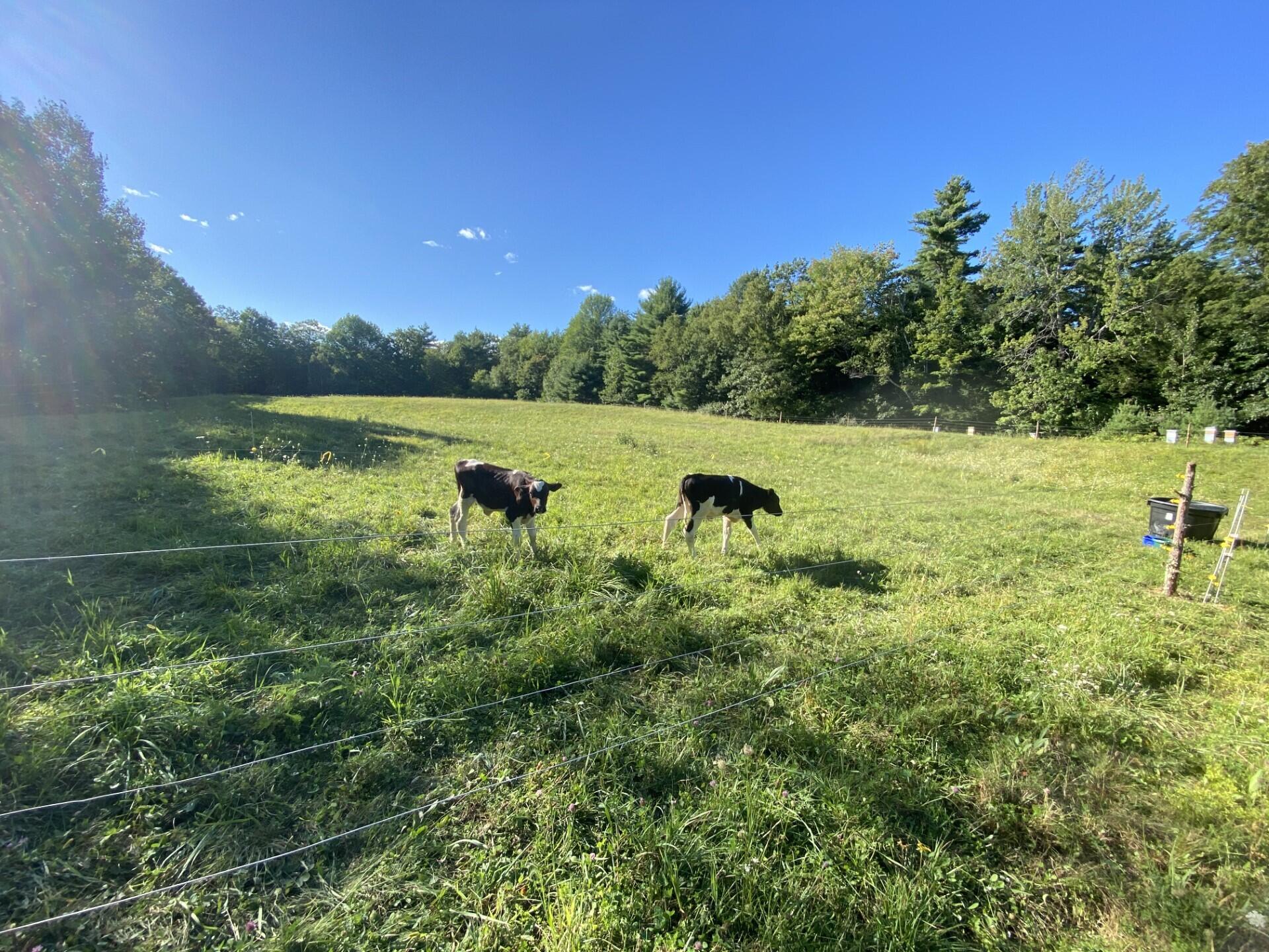 667 Neck Road China, ME 04358 - Photo 44 of 50 Pasture ready for animals