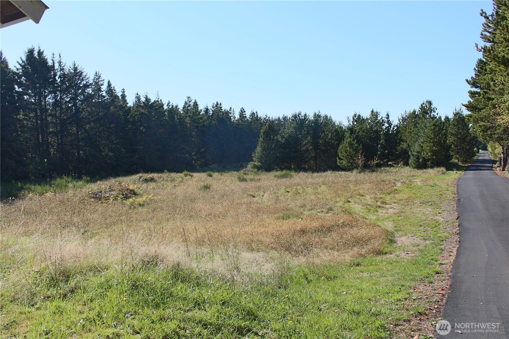 11303 Pacific Way Long Beach, WA 98631 - Photo 27 of 40 a view of a yard covered with snow in front of house