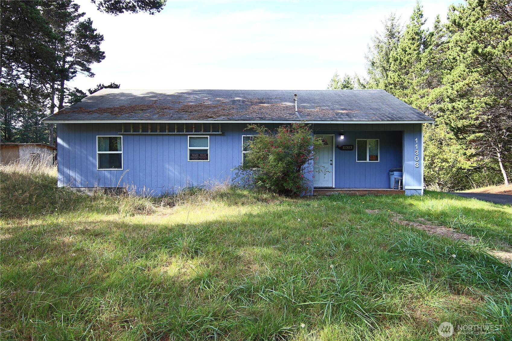 11303 Pacific Way Long Beach, WA 98631 - Photo 3 of 40 a front view of house with yard and green space