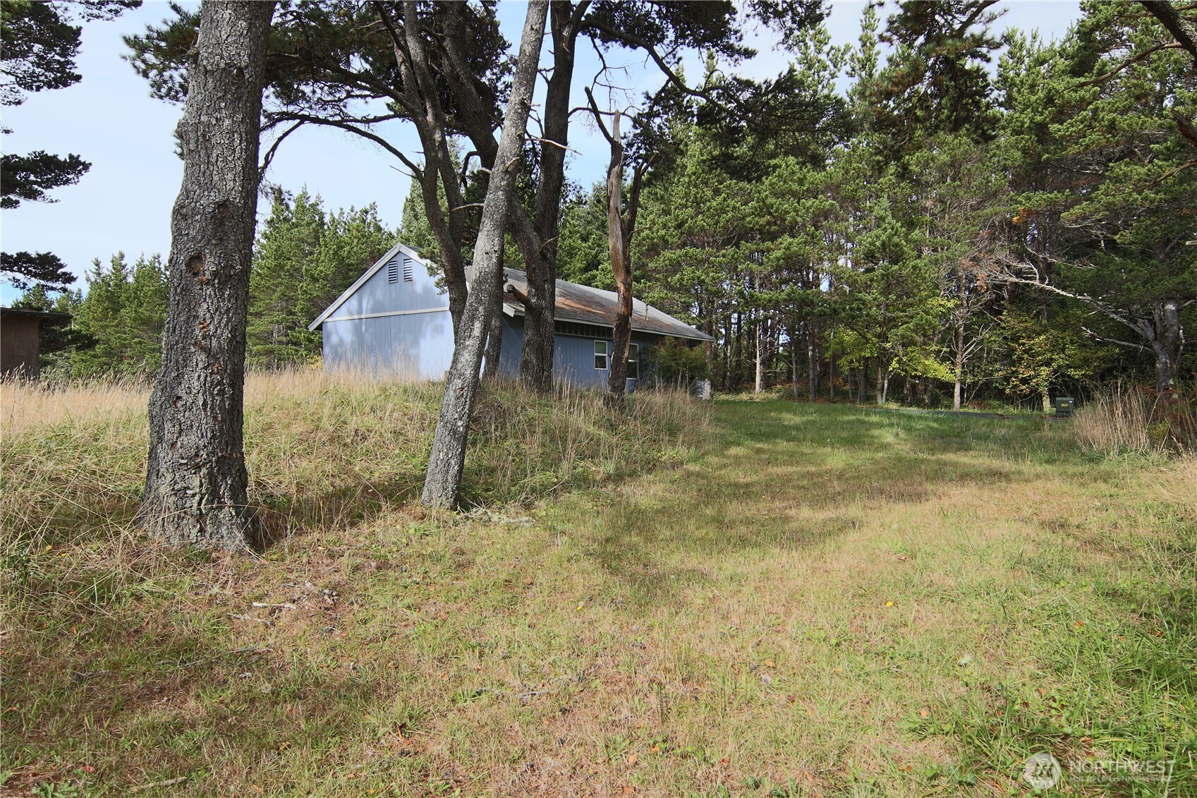 11303 Pacific Way Long Beach, WA 98631 - Photo 31 of 40 a view of a large yard with plants and large trees