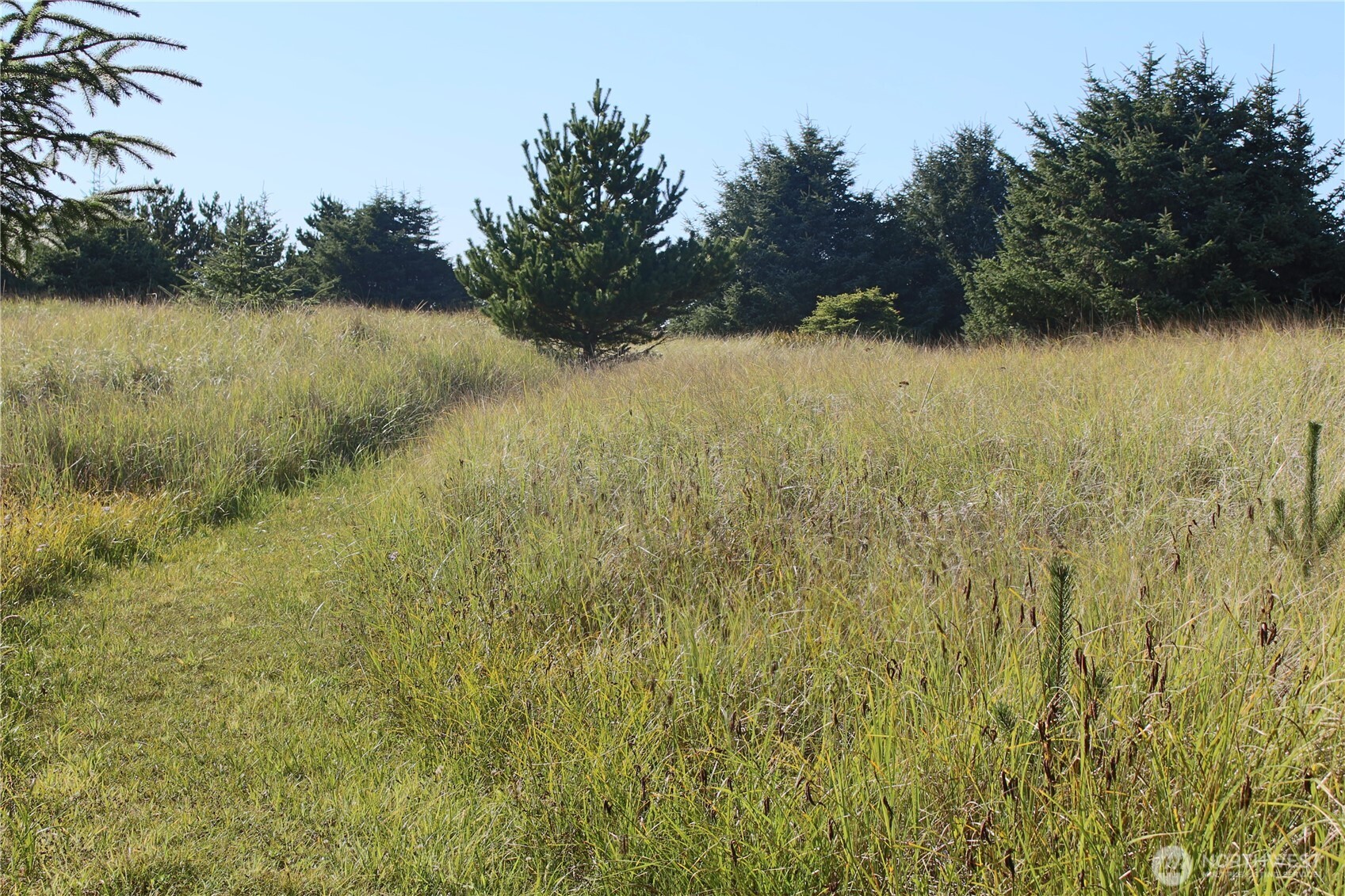 11303 Pacific Way Long Beach, WA 98631 - Photo 32 of 40 a view of lake view