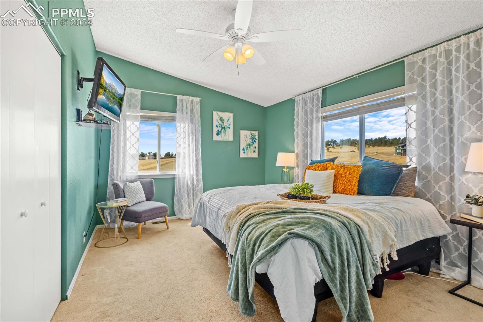 17650 Fremont Fort Road Peyton, CO 80831 - Photo 6 of 41 Bedroom with ceiling fan, a textured ceiling, light colored carpet, and a closet