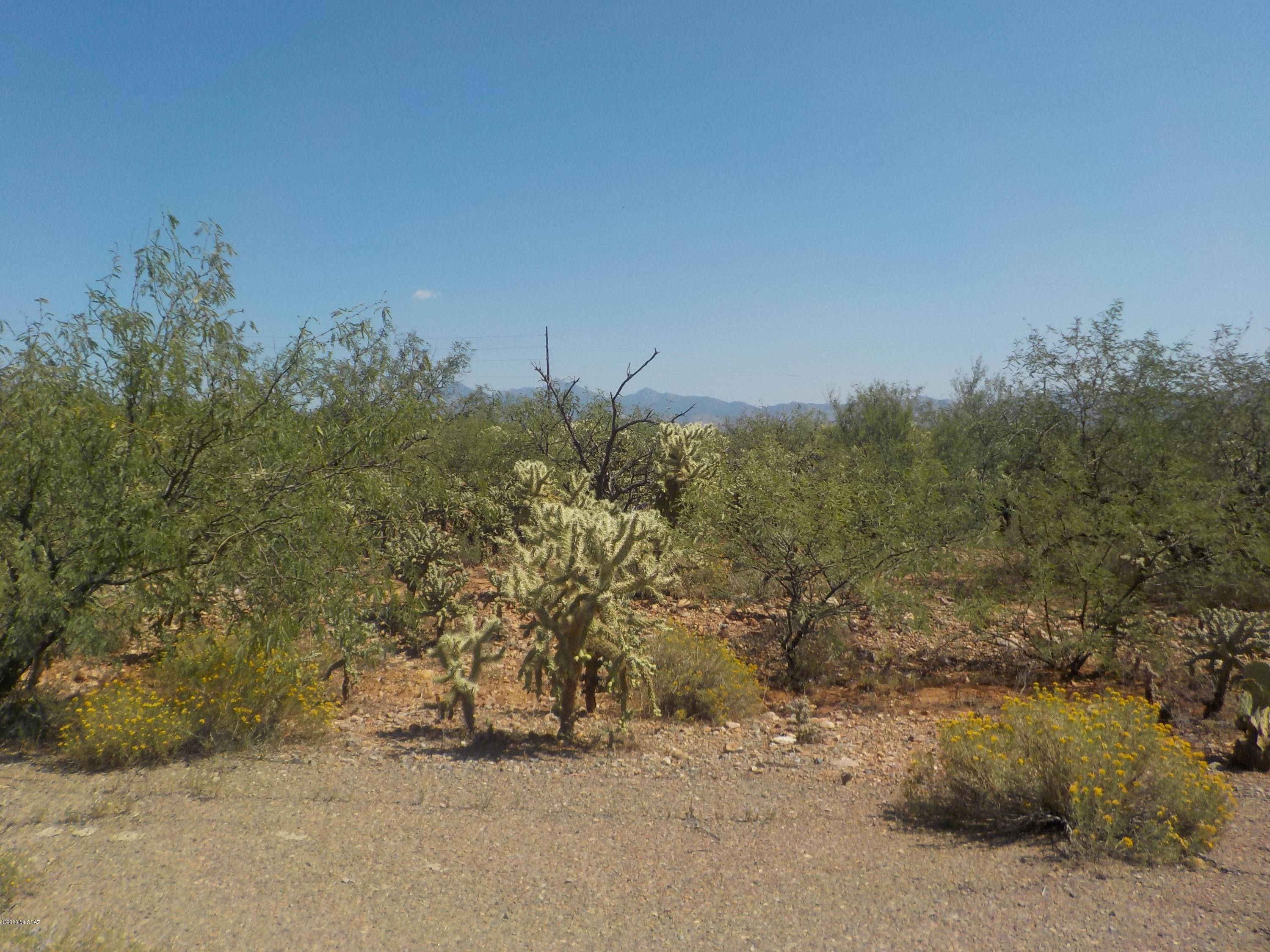 2043 Birch Court, Unit 42 Rio Rico, AZ 85648 - Photo 2 of 4