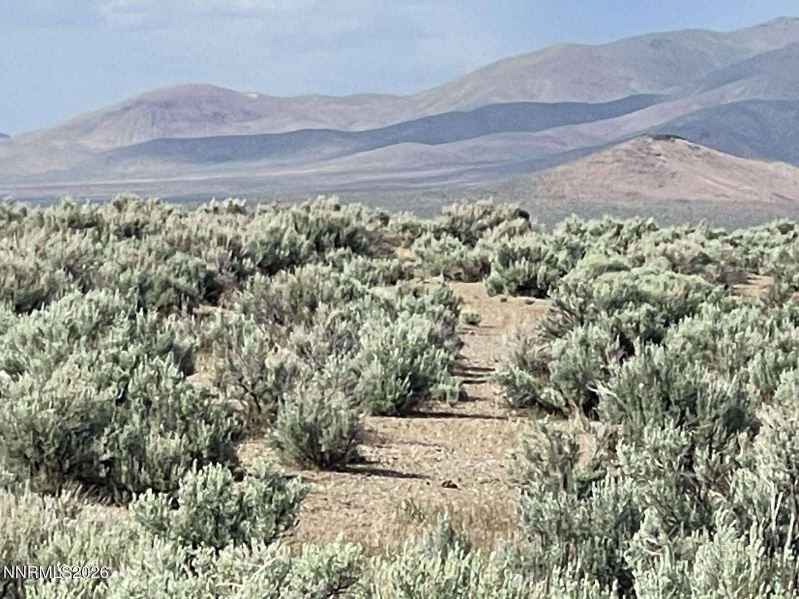 10 Button Point Road Golconda, NV 89414 - Photo 15 of 25 a view of a yard with an outdoor space