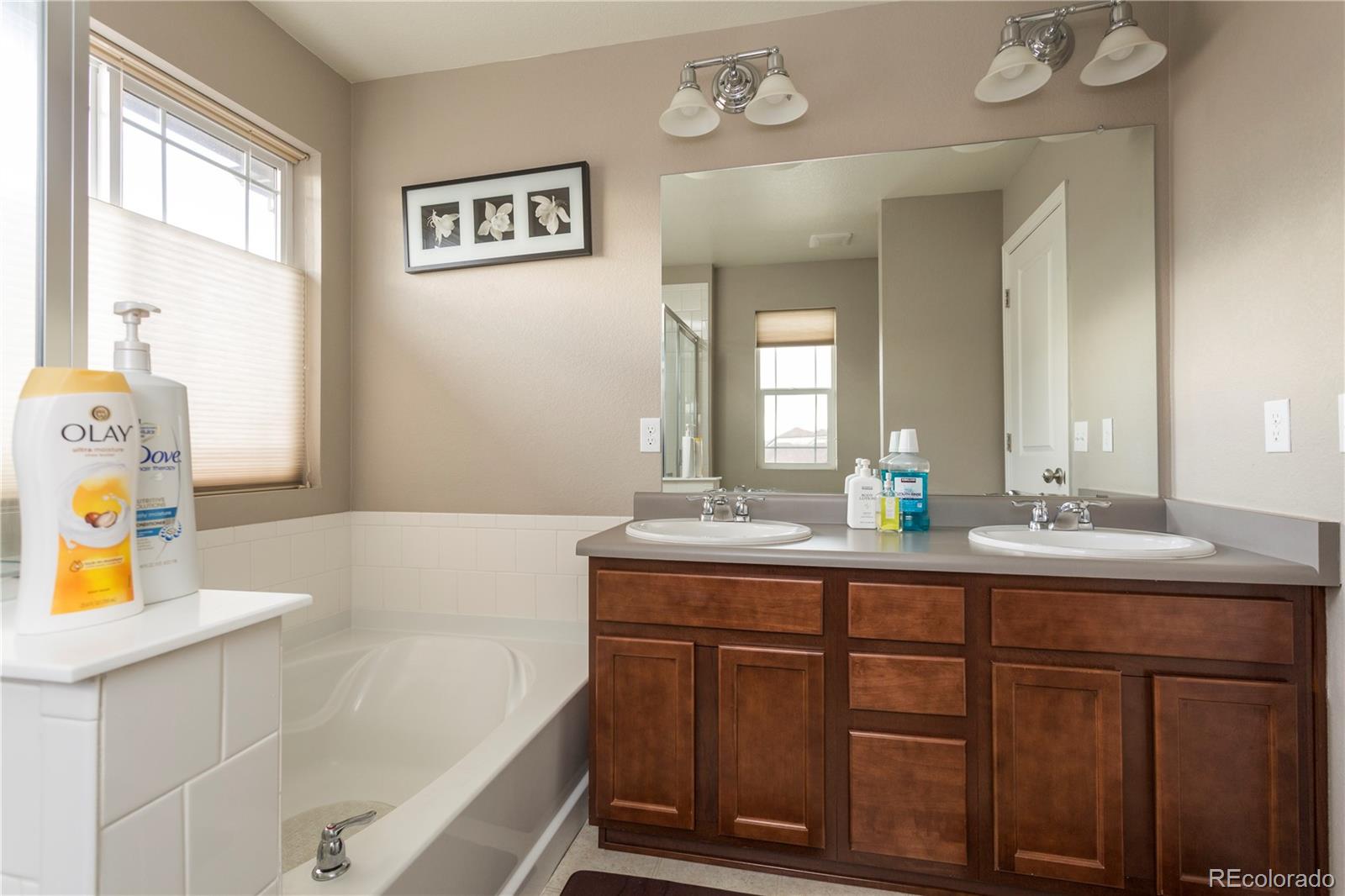 2834 Macon Way Denver, CO 80238 - Photo 23 of 36 a bathroom with a sink and a bathtub