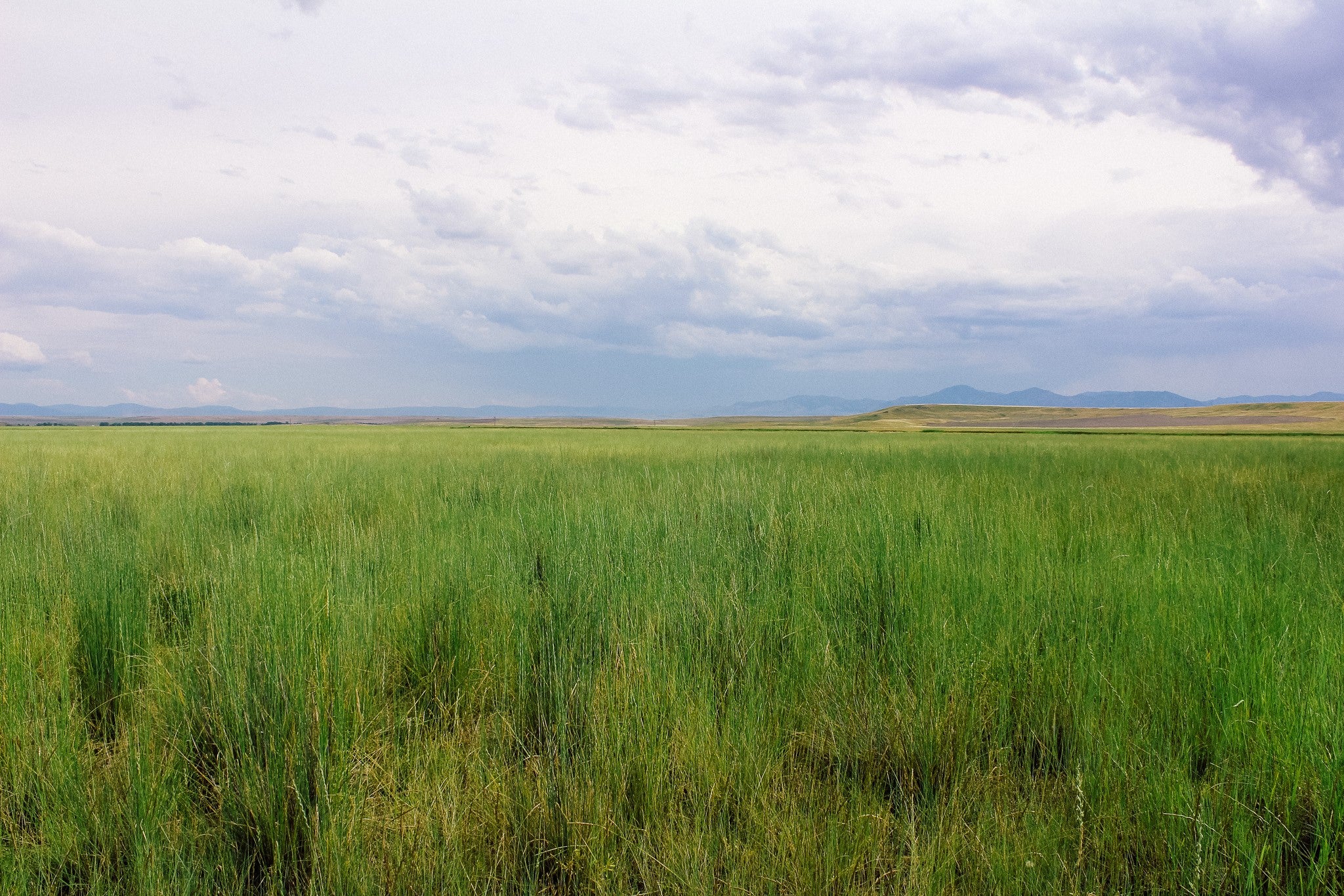 Little Little Muddy Creek Ranch Cascade, MT 59421 - Photo 1 of 41 Gallery Image 1