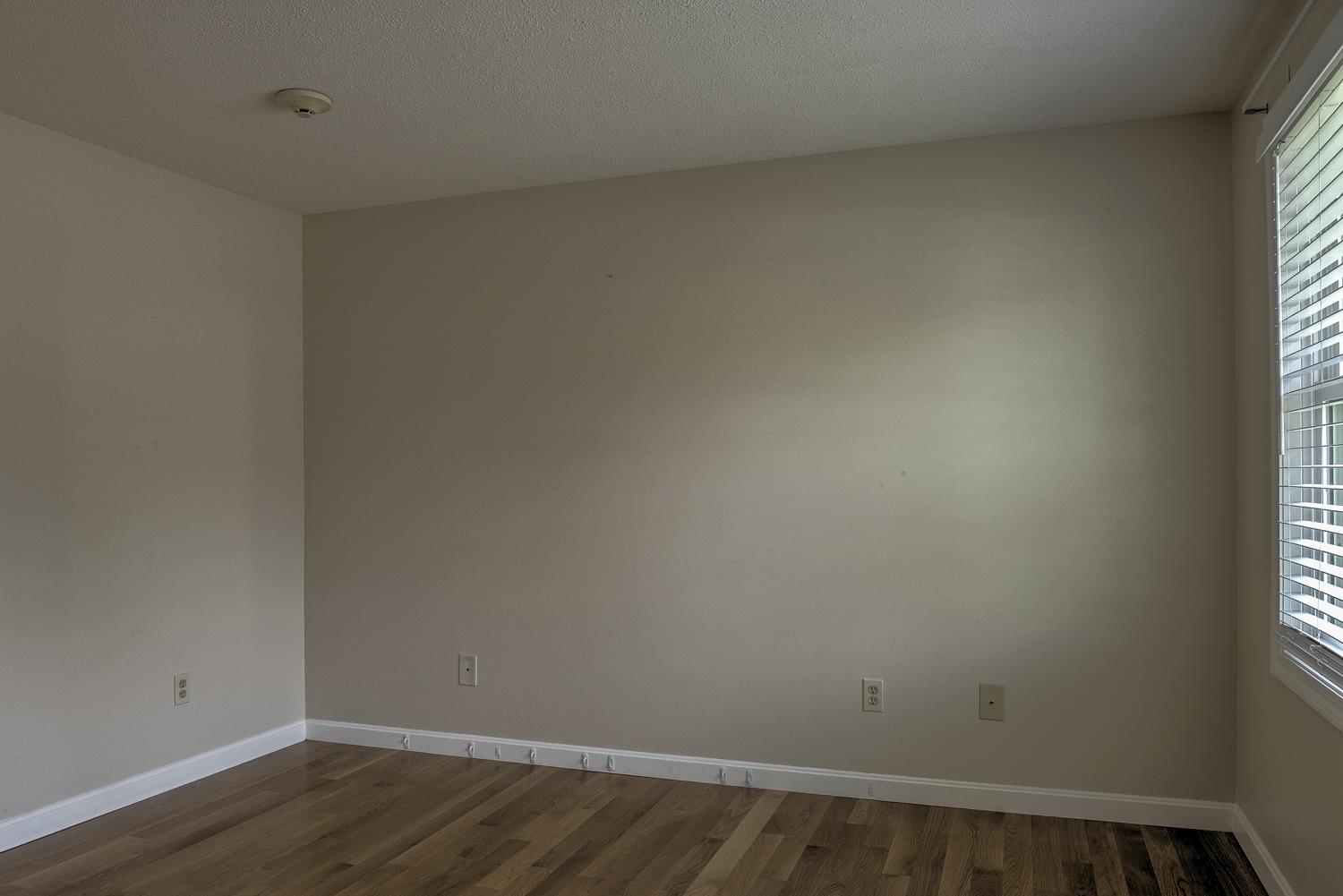 794 Court Street, Unit G Keene, NH 03431 - Photo 5 of 28 Gallery Image 5