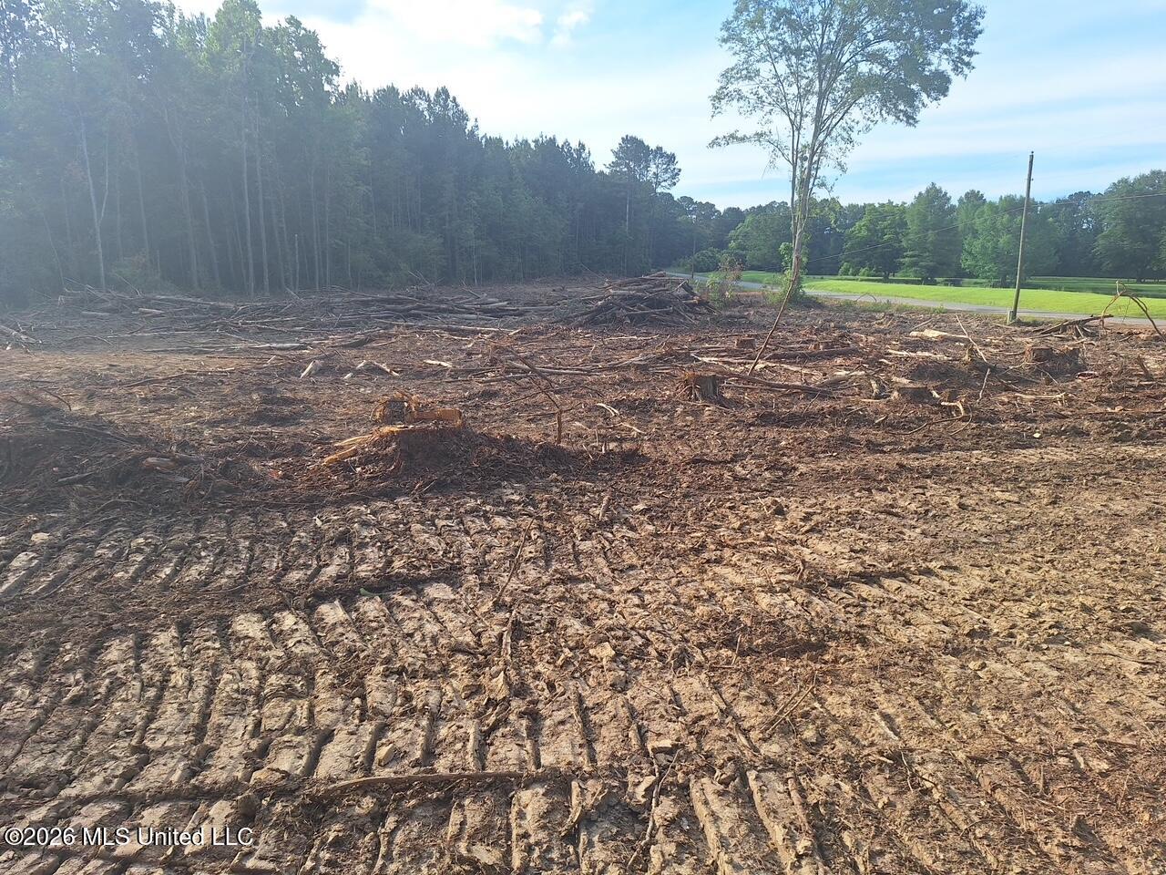 709 Old Pinola Braxton Road Braxton, MS 39044 - Photo 5 of 19 3114720729262787789