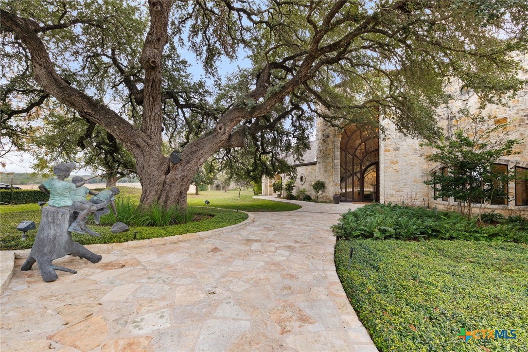 8536 Armstrong Road Belton, TX 76513 - Photo 2 of 41 a view of a yard with plants and a large tree
