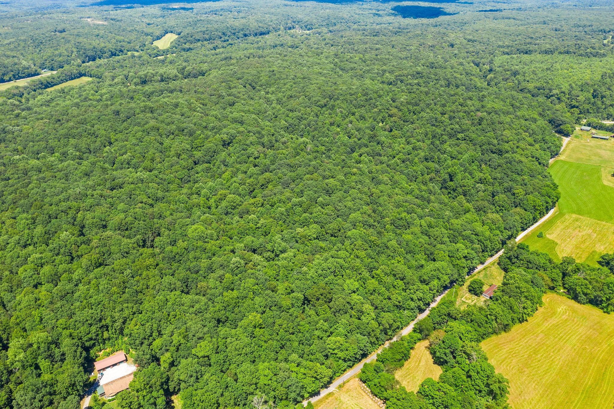 1375 Barnes Hollow Road Stewart, TN 37175 - Photo 36 of 43 Gallery Image 36