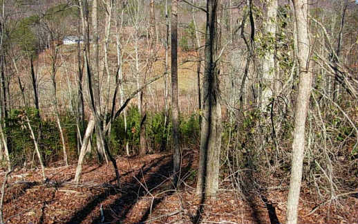 2-ac Pinetree Road Blue Ridge, GA 30513 - Photo 1 of 1 Main View