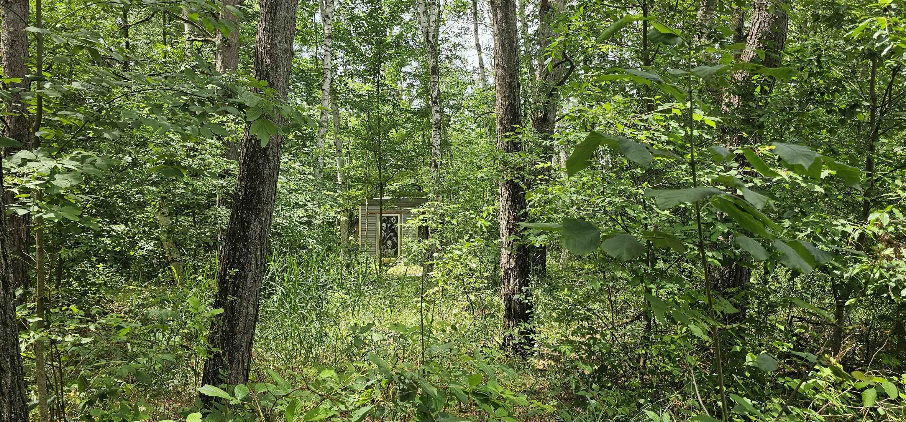 2776 Twin Lake Road Lupton, MI 48635 - Photo 20 of 55 1924115-46c62ed2-ec84-406f-afe6-7844660724cd.JPG