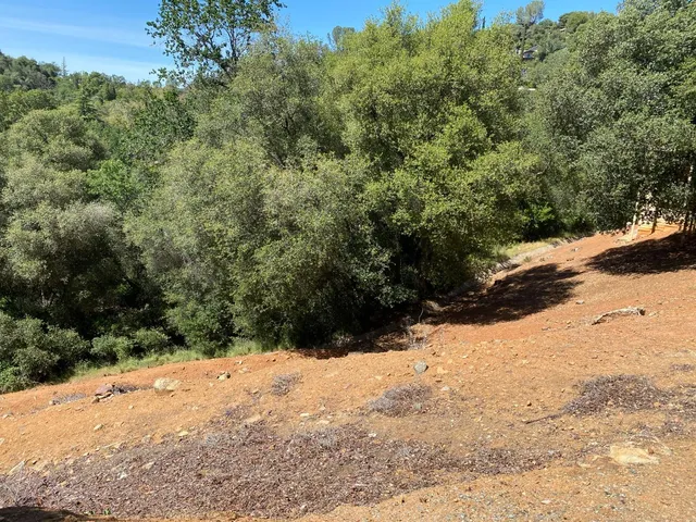 a view of a snow on the road