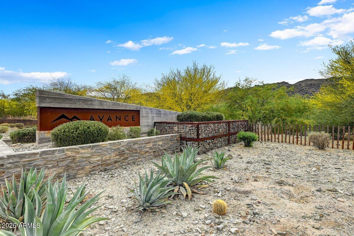 9407 South 13th Way Phoenix, AZ 85042 - Photo 43 of 51 a view of a backyard with plants and palm tree