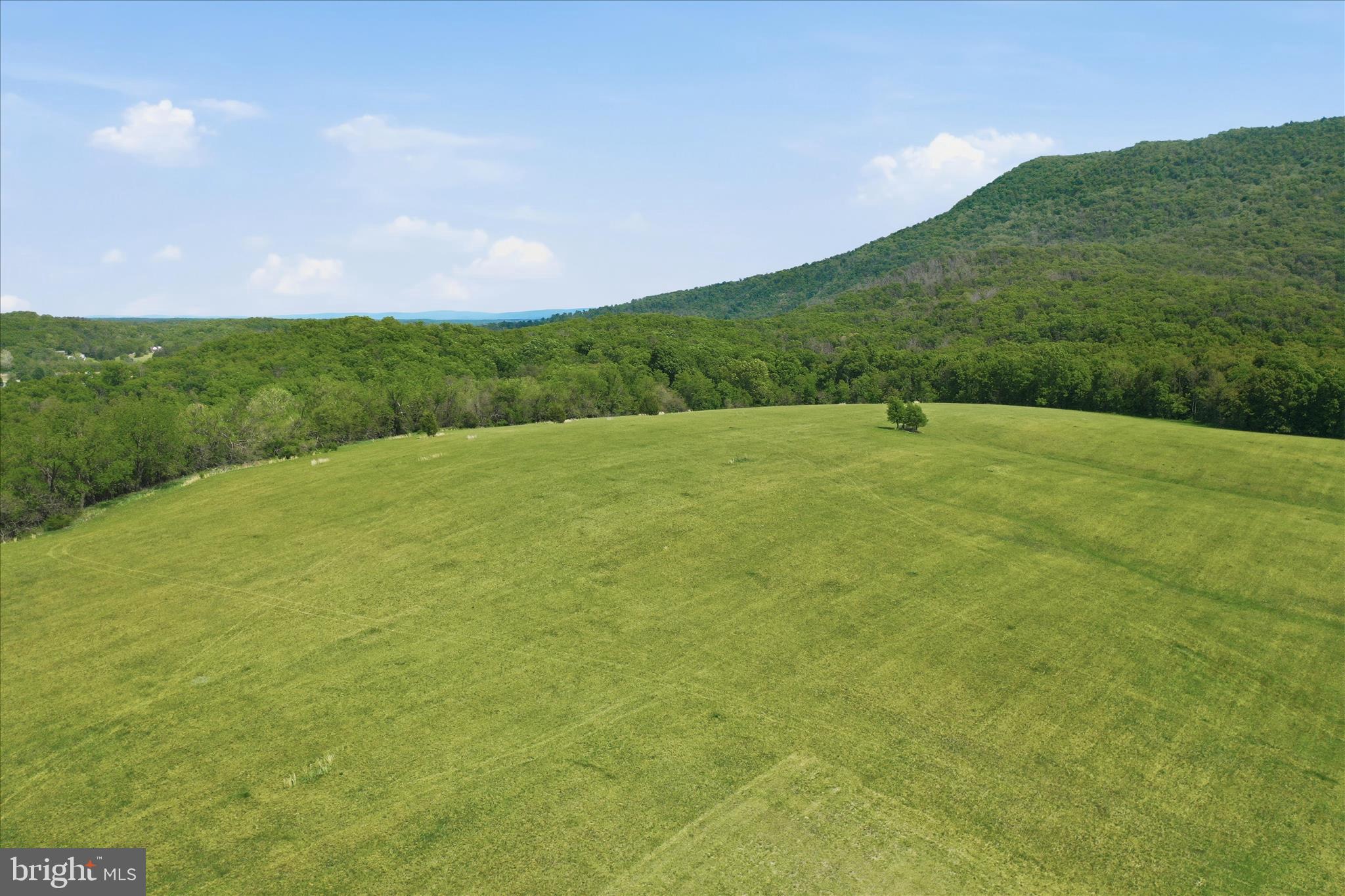 Lot 9 Sandy Hook Road Strasburg, VA 22657 - Photo 13 of 17