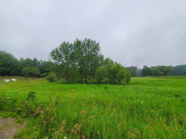 2788 East Greenwood Road Prescott, MI 48756 - Photo 3 of 4