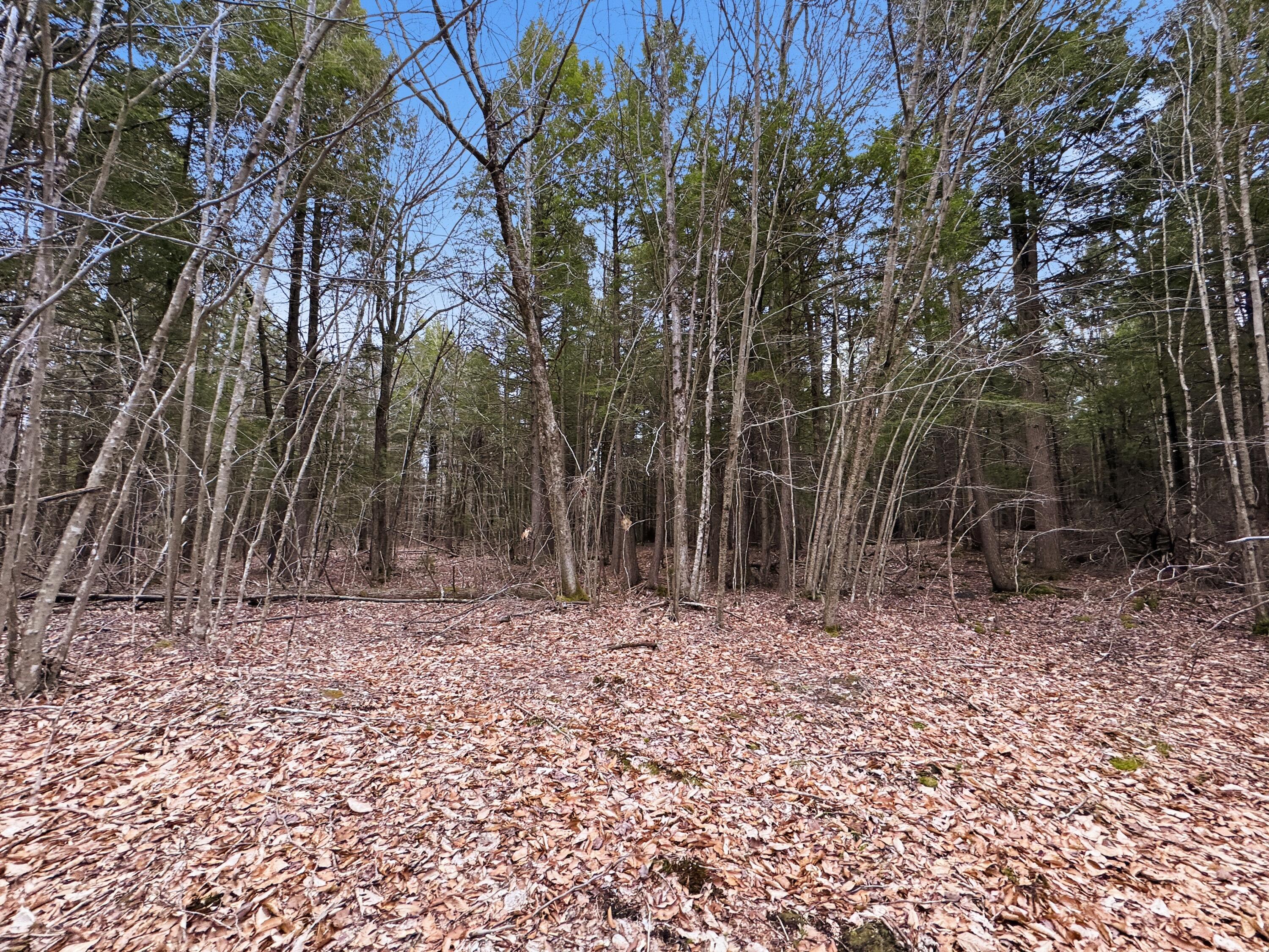 0 Old Portland Road Brunswick, ME 04011 - Photo 7 of 9 IMG_8398