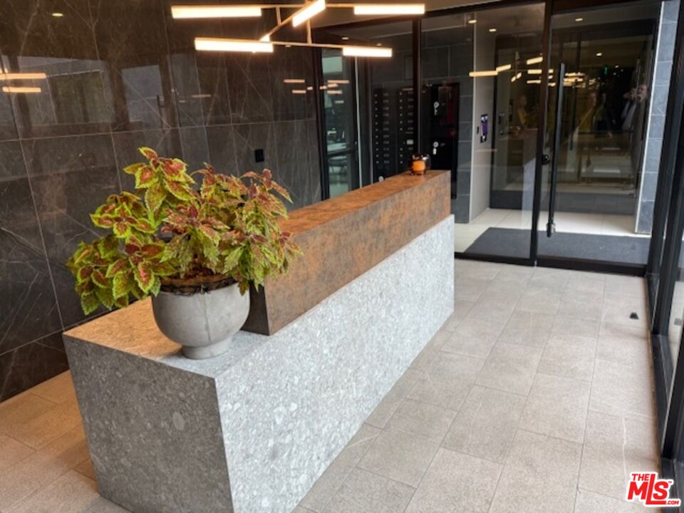 411 South Hamel Road, Unit 306 Los Angeles, CA 90048 - Photo 3 of 40 a view of potted plant in front of a building