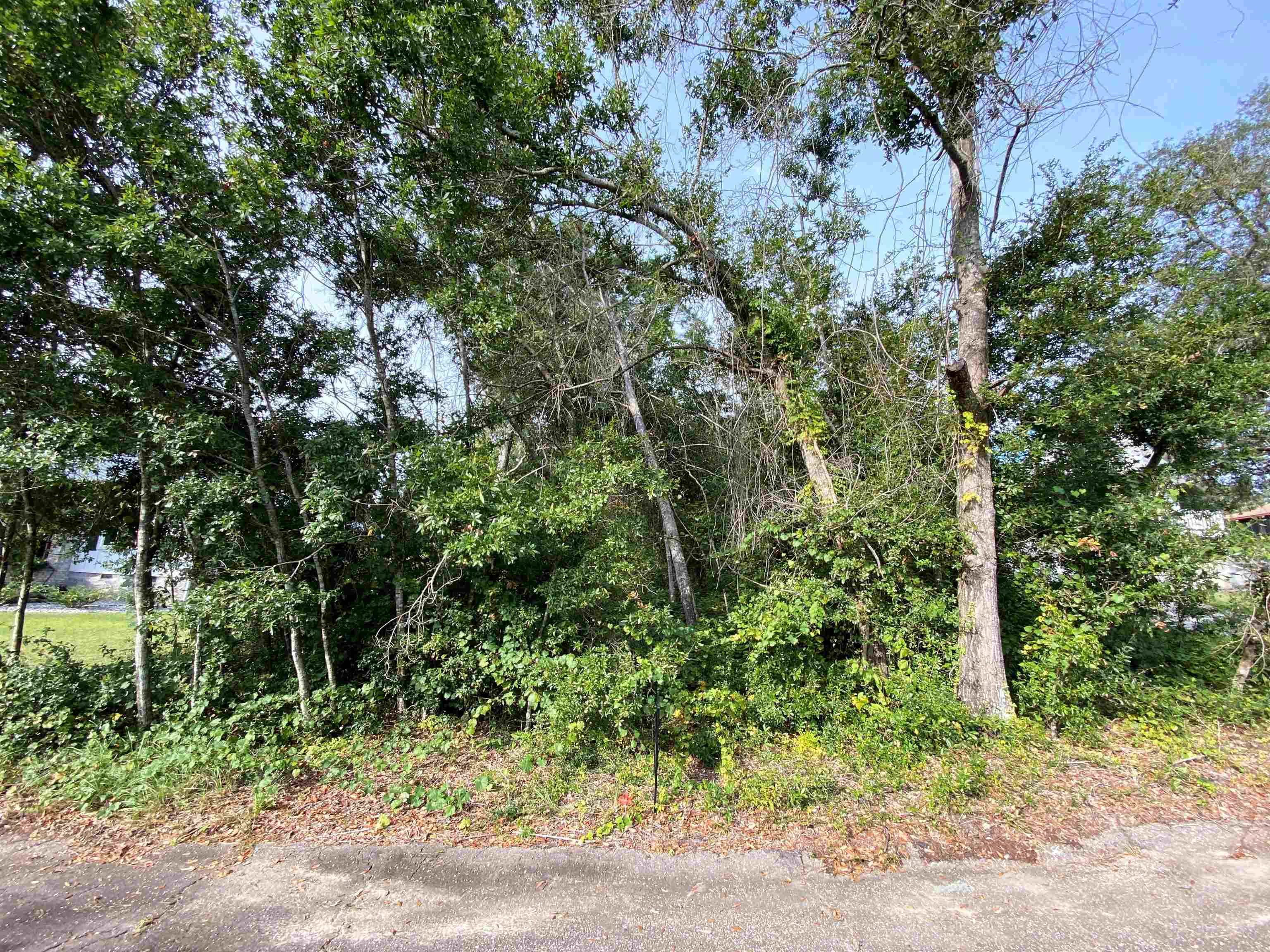 0 Club House Drive Lillian, AL 36549 - Photo 1 of 9