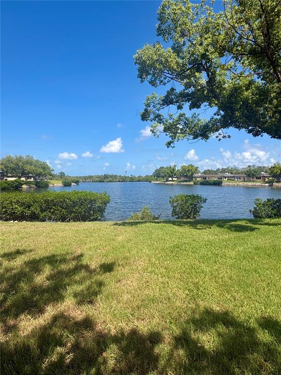 4347 Rustic Drive New Port Richey, FL 34652 - Photo 12 of 12