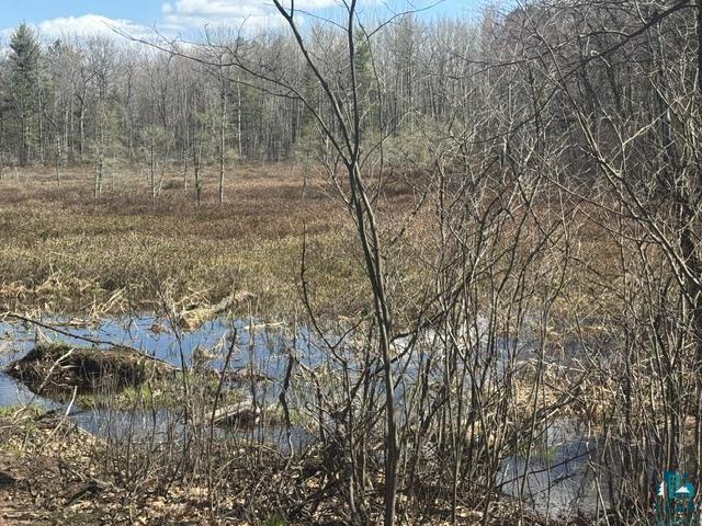 13160 East County Rd B Lake Nebagamon, WI 54849 - Photo 25 of 26 Gallery Image 25
