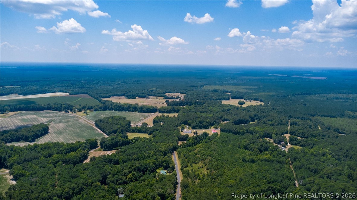 422 Drye Road Council, NC 28434 - Photo 8 of 9