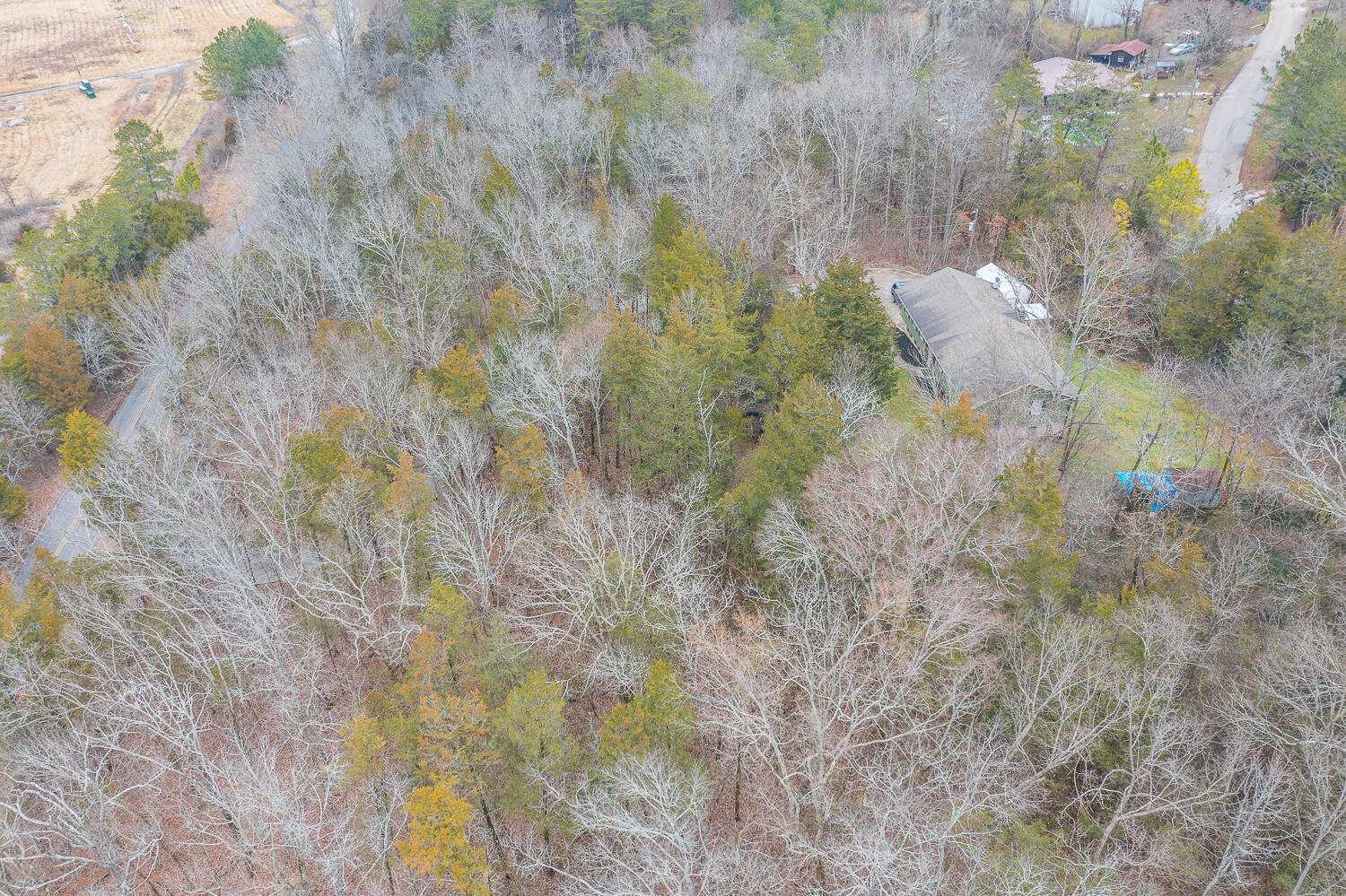 1231 Hackett Mill Road Ringgold, GA 30736 - Photo 58 of 61 1231 Hackett Mill Aerials HD -14