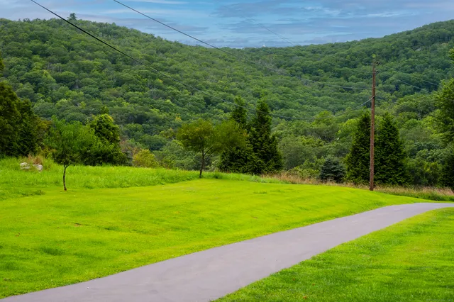 a view of a grassy field with trees