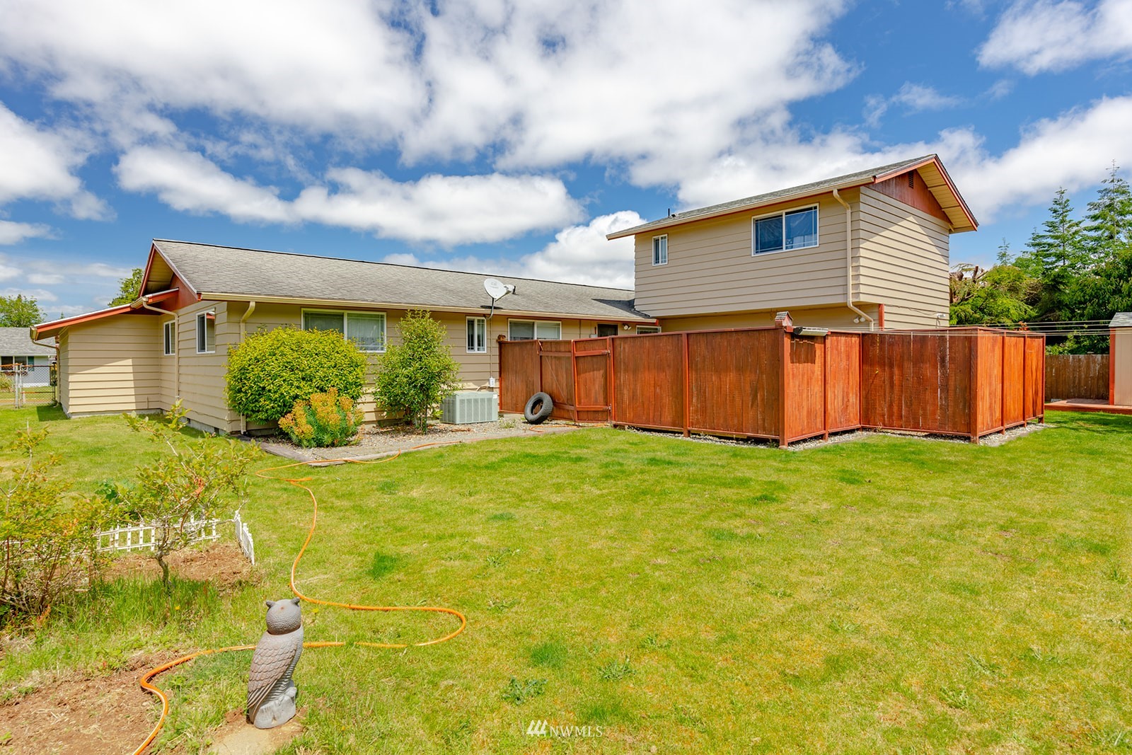 1209 Dundee Drive Cosmopolis, WA 98537 - Photo 12 of 36 a view of a backyard with plants and large tree