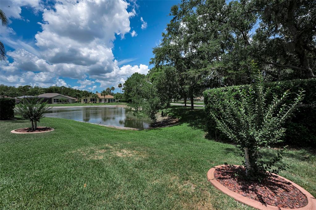 11917 Hadleigh Way Trinity, FL 34655 - Photo 50 of 84