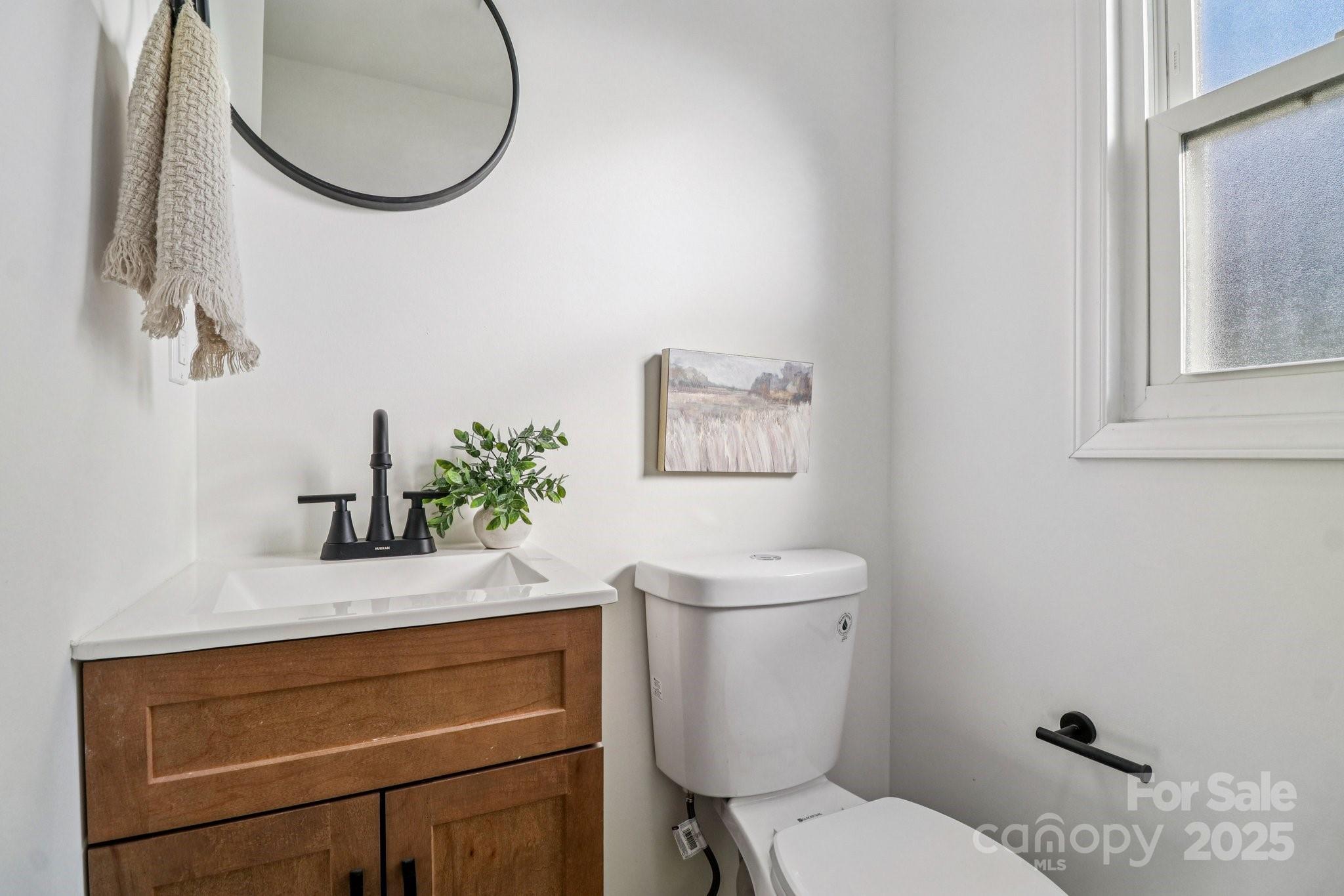 4409 Pleasant Road Lancaster, SC 29720 - Photo 9 of 34 a bathroom with a toilet a sink and mirror