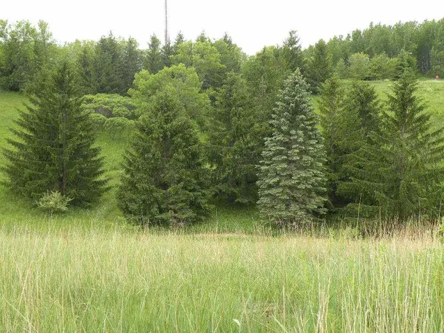 $29,900 | 290 Moraine Drive, Ripon, WI 54971